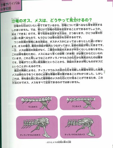 Cover image : 恐竜世界のサバイバル 2 (科学漫画サバイバルシリーズ)