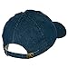 Denim Cap, Blue, One Size Fits Most