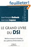 Le grand livre du DSI : Mettre en oeuvre la direction des syst�mes d'information 2.0