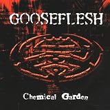 Chemical garden