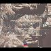 Classical Music : Beethoven: String Quartets