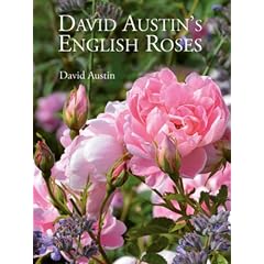 David Austin's English Roses