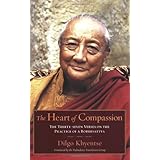 the heart of compassion the thirty seven verses on the practice of a bodhisattva