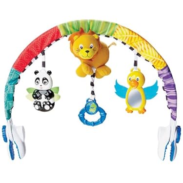 Baby Einstein Play Go Toy Arch