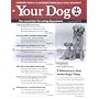 Your Dog
