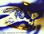 Dona, Metamorfosi De La Modernitat: Woman, Metamorphosis of Modernity (English, Catalan and Spanish Edition)
