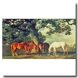 Horses Green Pastures 6ft X 10.5ft Wall Mural Horses Green Pastures 6ft X 10.5ft Wall Mural