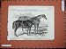 1848 Royal Agricultural Show Horses Gaunt Silvester