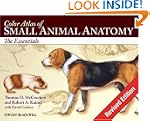 Color Atlas of Small Animal Anatomy:...