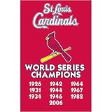 St. Louis Cardinals MLB Applique Banner Flag (44x28) (Champions)