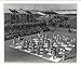 Historic Print (M): A general view of the human chess board during a match between Mr. R.J. Broadbent (Briti