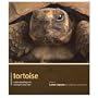 Tortoise - Pet Expert: Understanding and Caring for Your Pet