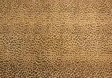 Bungalow MicroFibre Large Accent Rug, Leopard, 36" x 24", 64646