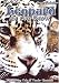 DVD : Leopard in the Snow