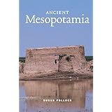 ancient mesopotamia case studies in early societies
