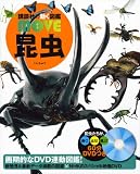 ���� (�u�k�Ђ̓����}��MOVE)