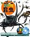 昆虫 (講談社の動く図鑑MOVE)