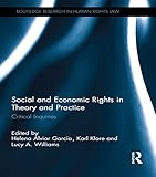 Social and economic rights in theory and practice : a critical assessment
