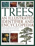 Trees: An Illustrated Identifier and Encyclopedia