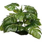 Petco Araceae Terrarium Plant Reptile Decor