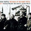 The Walk of the Giant Turtle