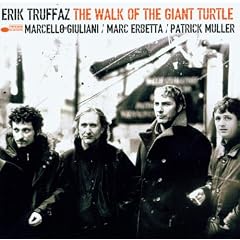 The Walk Of The Giant Turtle
