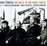 The Walk Of The Giant Turtle