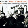 The Walk Of The Giant Turtle
