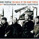 The Walk Of The Giant Turtle