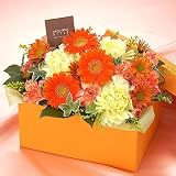 ������ë���šۥ���󥸥��ȡ֥��ޥ���ܥå����ʥ���󥸡ˡ�