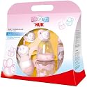 NUK 10260192 - Baby Rose Startset mit zwei Trinkflaschen, zwei Beruhigungssaugern und einer Schmetterlingsrassel