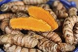 Turmeric Root - Whole Raw Organic Root - 1 Lb. Lots - Top Grade