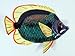 Handpainted Tropical Fish Replica Wall Mount Decor Plaque Green 8