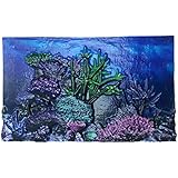 BioBubble 3D Coral Aquarium Background, 10 gal, Multicolor