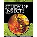 Borror and DeLong's Introduction to the Study of Insects