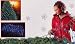 4' x 6' Blue 150 Mini Net Style Christmas Lights - Green Wire 24 Square Feet