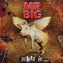 What If... von Mr. Big