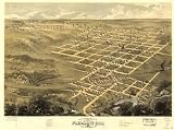 Bird's eye view of the city of Pleasant Hill, Cass Co., Missouri 1869. Drawn by A. Ruger., large historic panoramic map reprint 48x36