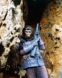 PLANET OF THE APES 11X14 PHOTO