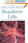 Seashore Life