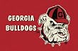 Milliken Team Spirit Georgia Bulldogs Rug 2'8" X 3'10"