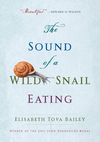 The Sound of a Wild Snail Eating
