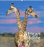 African Wildlife 2009