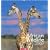 African Wildlife 2009