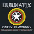 System Shakedown