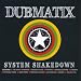 System Shakedown