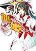 龍刃機神と戦う姫巫女 (HJ文庫)