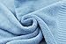 AmeriBamboo High-Quality Bamboo Rayon 600 GSM - 3-Piece Premium Towel Set (Light Blue)