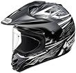 ショウエイ(SHOEI) HORNET-DS PINLOCK® CLUSTER TC-5 (BLACK/SILVER) XL 61-62cm