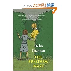 The Freedom Maze